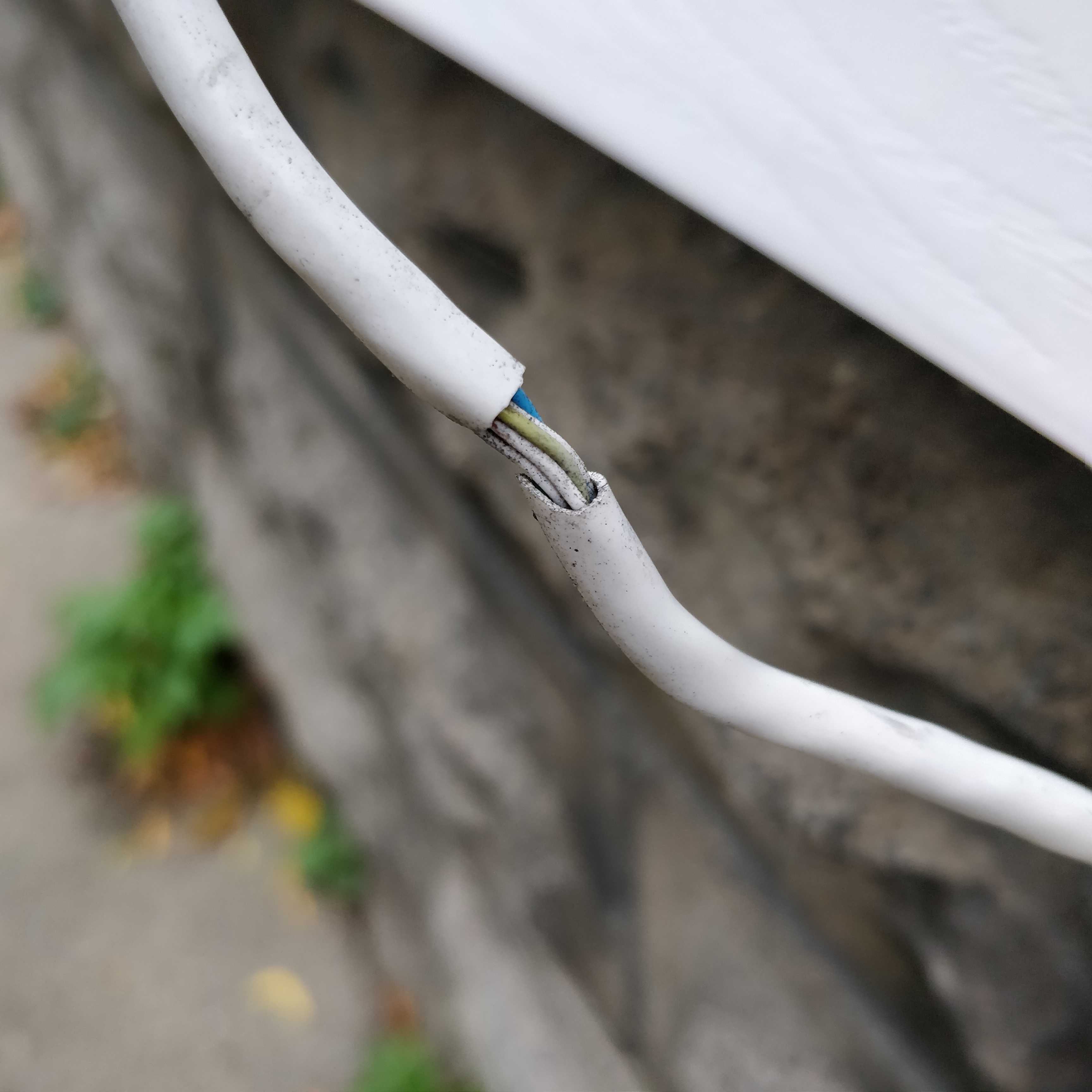 Category 5 cable with broken jacket